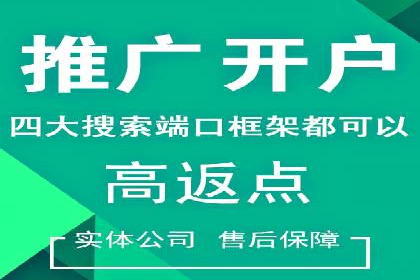深度解析sem推广竞价：成功案例与经验分享